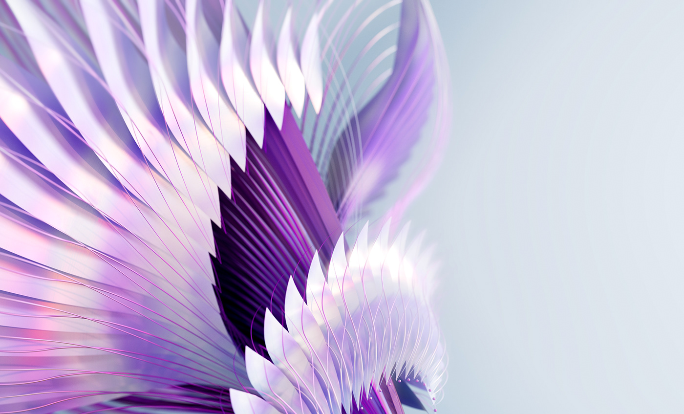 Bird of Paradise，c4d，animation，originality，Digital art，