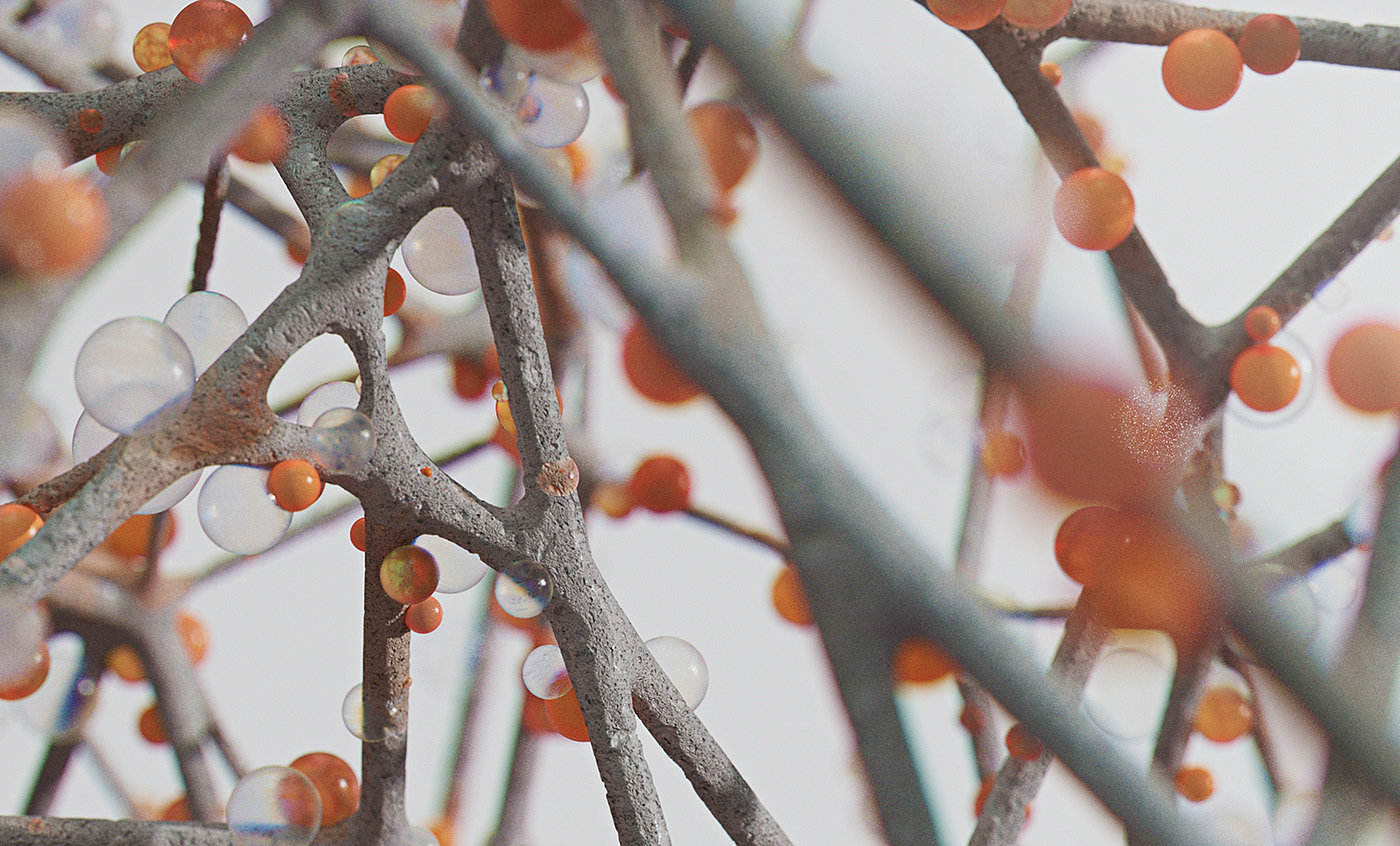 Bird of Paradise，c4d，animation，originality，Digital art，