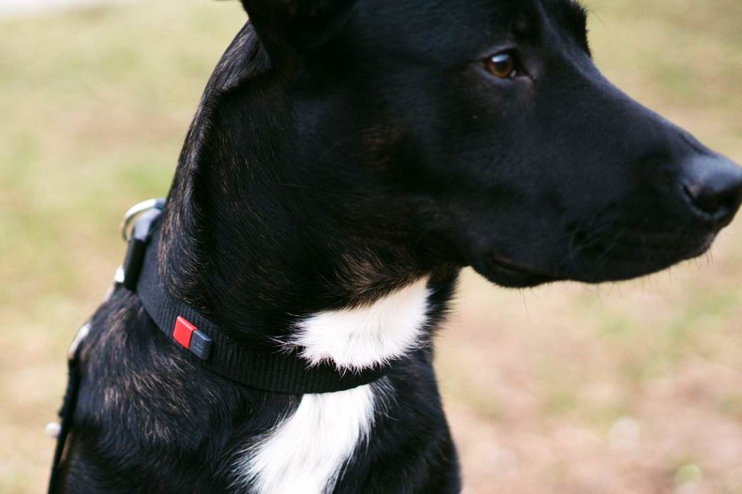 General image，Digital intelligence，Loss prevention，Life management，electronic product，