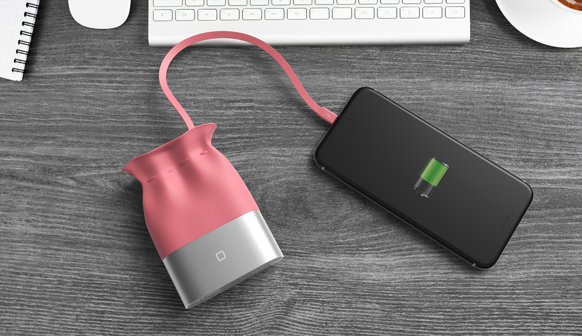 Everything，Pocket style，Charger，portable，General image，