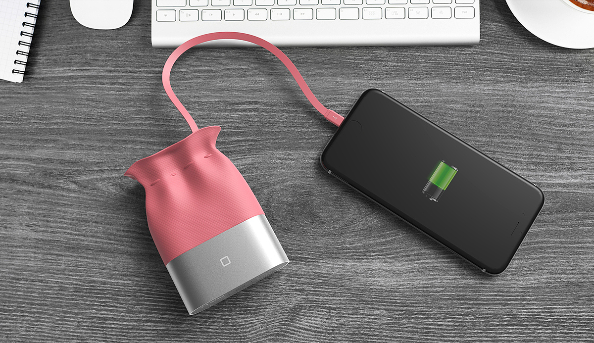 Everything，Pocket style，Charger，portable，General image，