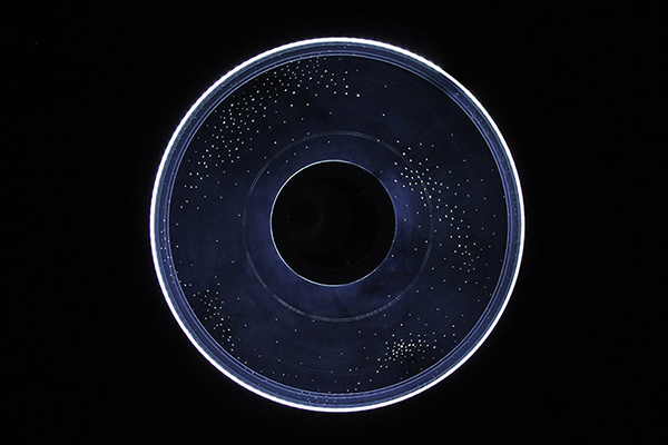 General image，decorate，a chandelier，starry sky，originality，