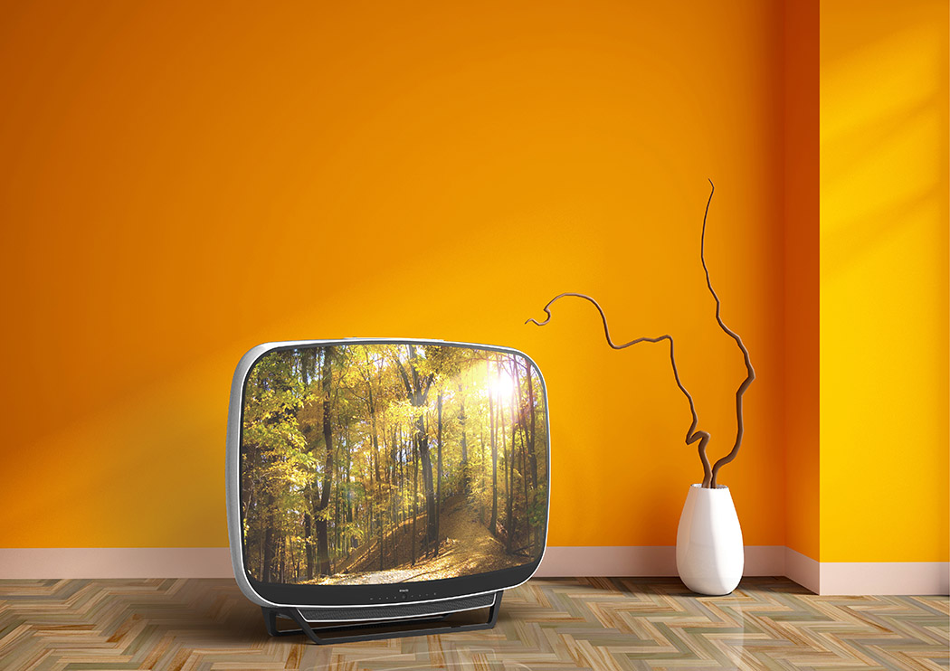 Retro，Television，General image，Design，household electrical appliances，
