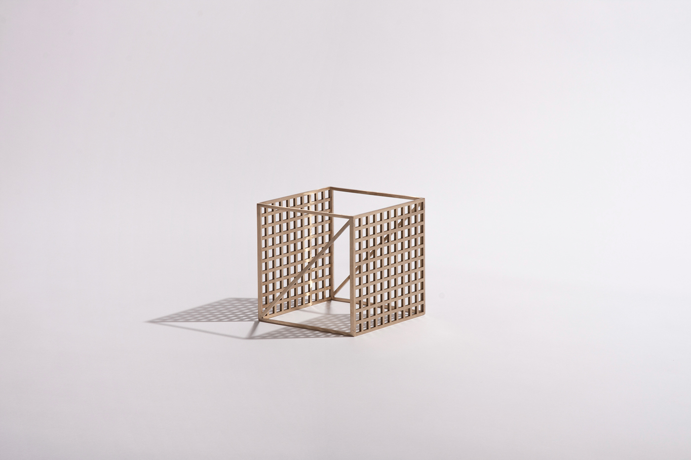 Botany，Plant landscape，Detail design，photosynthesis，General image，