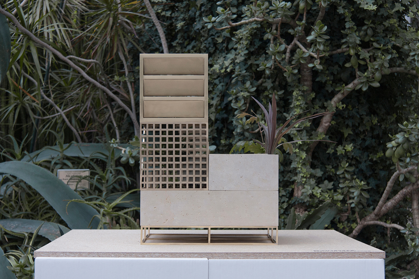 Botany，Plant landscape，Detail design，photosynthesis，General image，