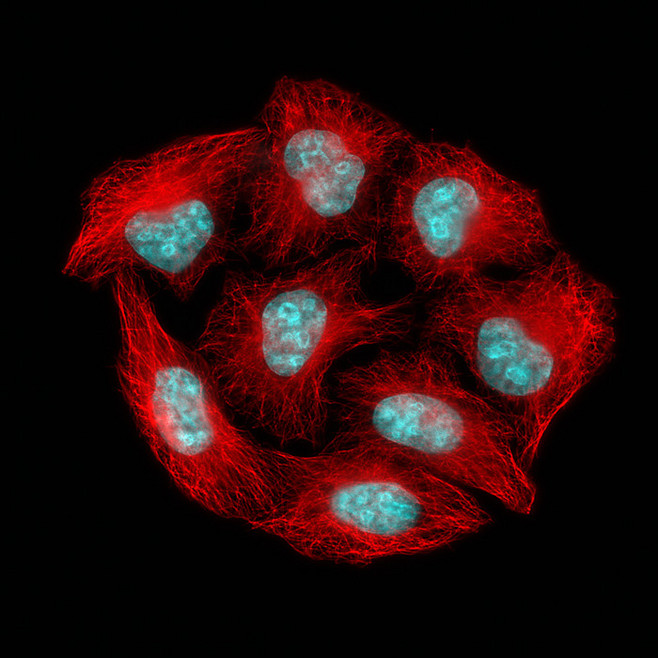 Aesthetic elements，Plane composition，Quirks，