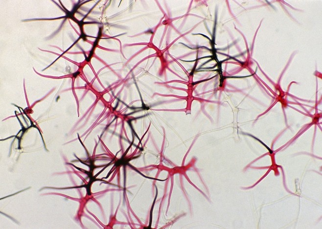 Aesthetic elements，Plane composition，Quirks，