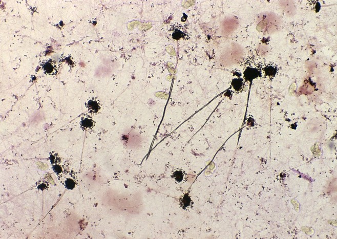 Aesthetic elements，Plane composition，Quirks，