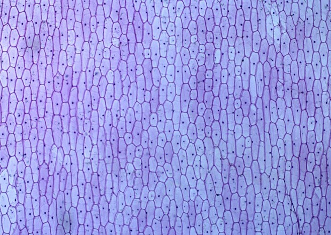 Aesthetic elements，Plane composition，Quirks，