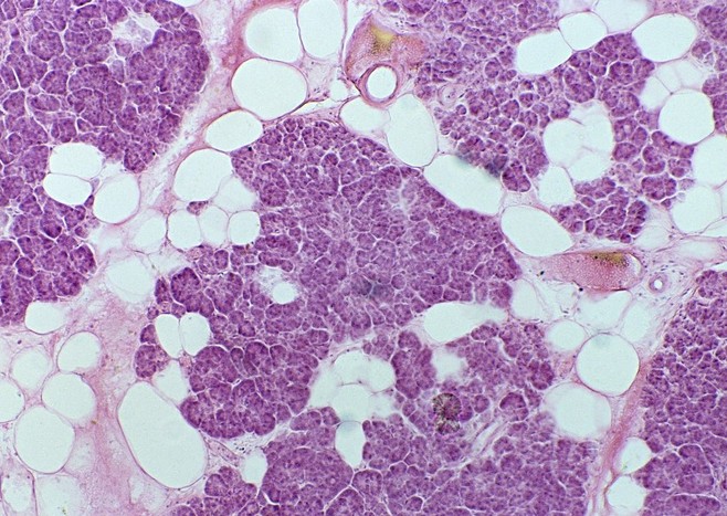 Aesthetic elements，Plane composition，Quirks，