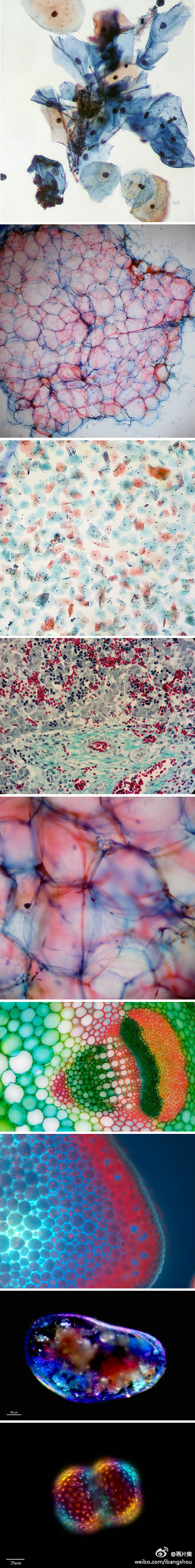 Aesthetic elements，Plane composition，Quirks，