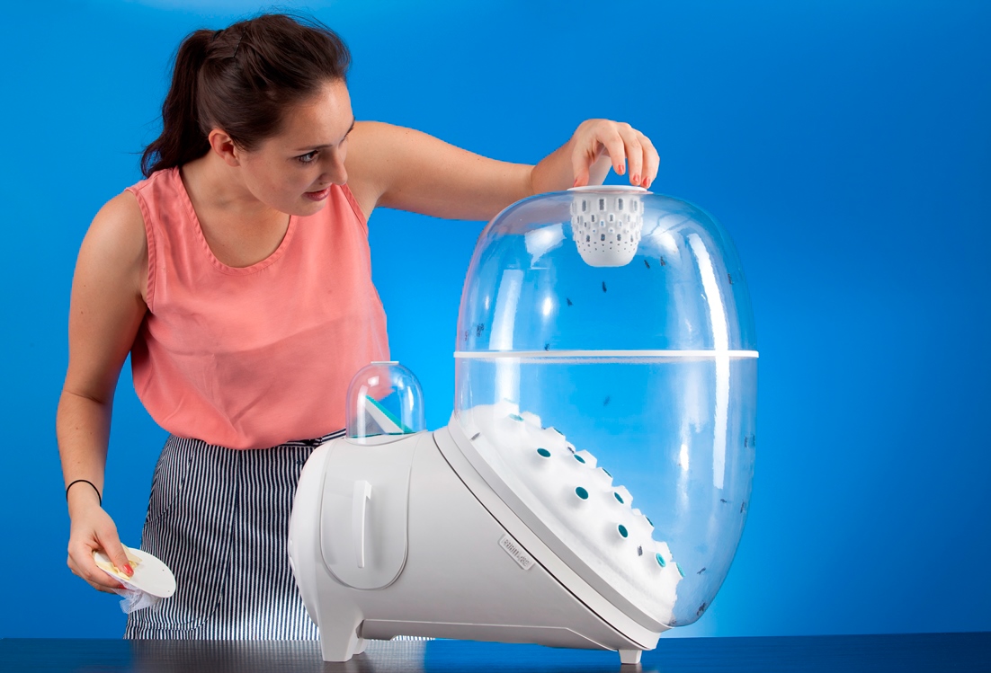 industrial design，Food culture，patent，designer，Insect breeding device，Black water gadfly egg，Black fly，