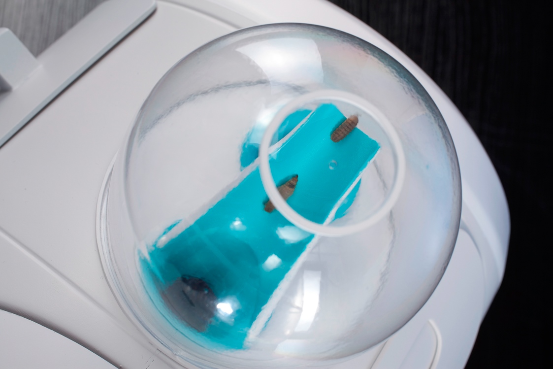 industrial design，Food culture，patent，designer，Insect breeding device，Black water gadfly egg，Black fly，