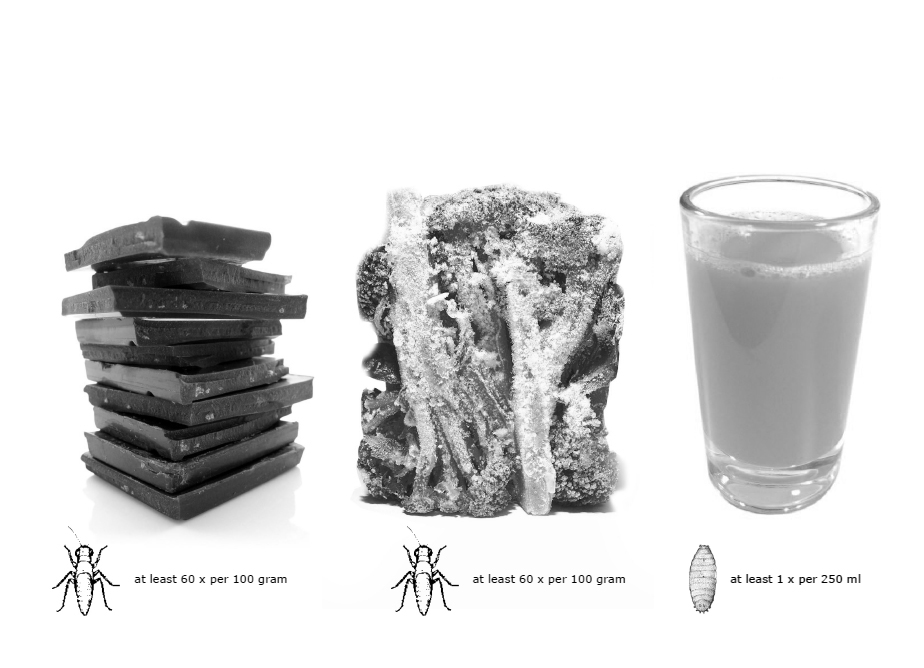 industrial design，Food culture，patent，designer，Insect breeding device，Black water gadfly egg，Black fly，