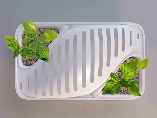 kitchen，originality，Dish dryer，plant，Flowers and plants，industrial design，