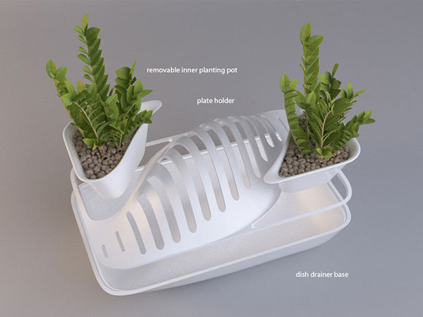 kitchen，originality，Dish dryer，plant，Flowers and plants，industrial design，