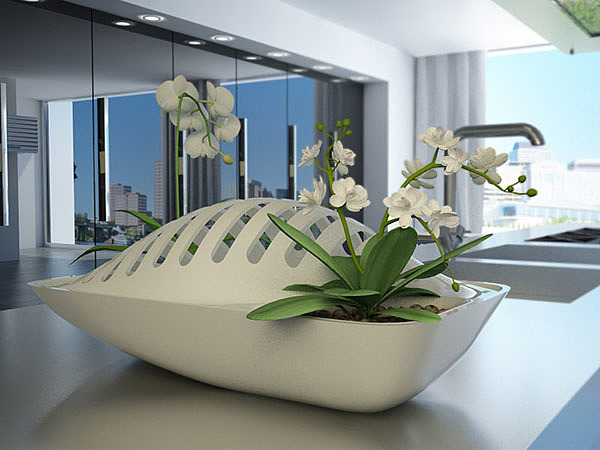 kitchen，originality，Dish dryer，plant，Flowers and plants，industrial design，