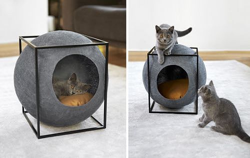 Simplicity，Meyou，Cat nest，style，General image，