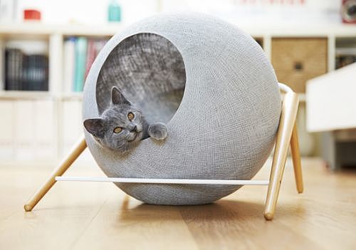 Simplicity，Meyou，Cat nest，style，General image，