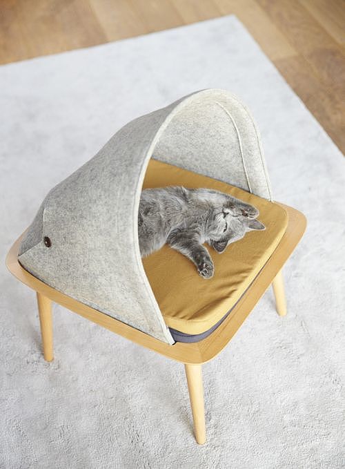 Simplicity，Meyou，Cat nest，style，General image，