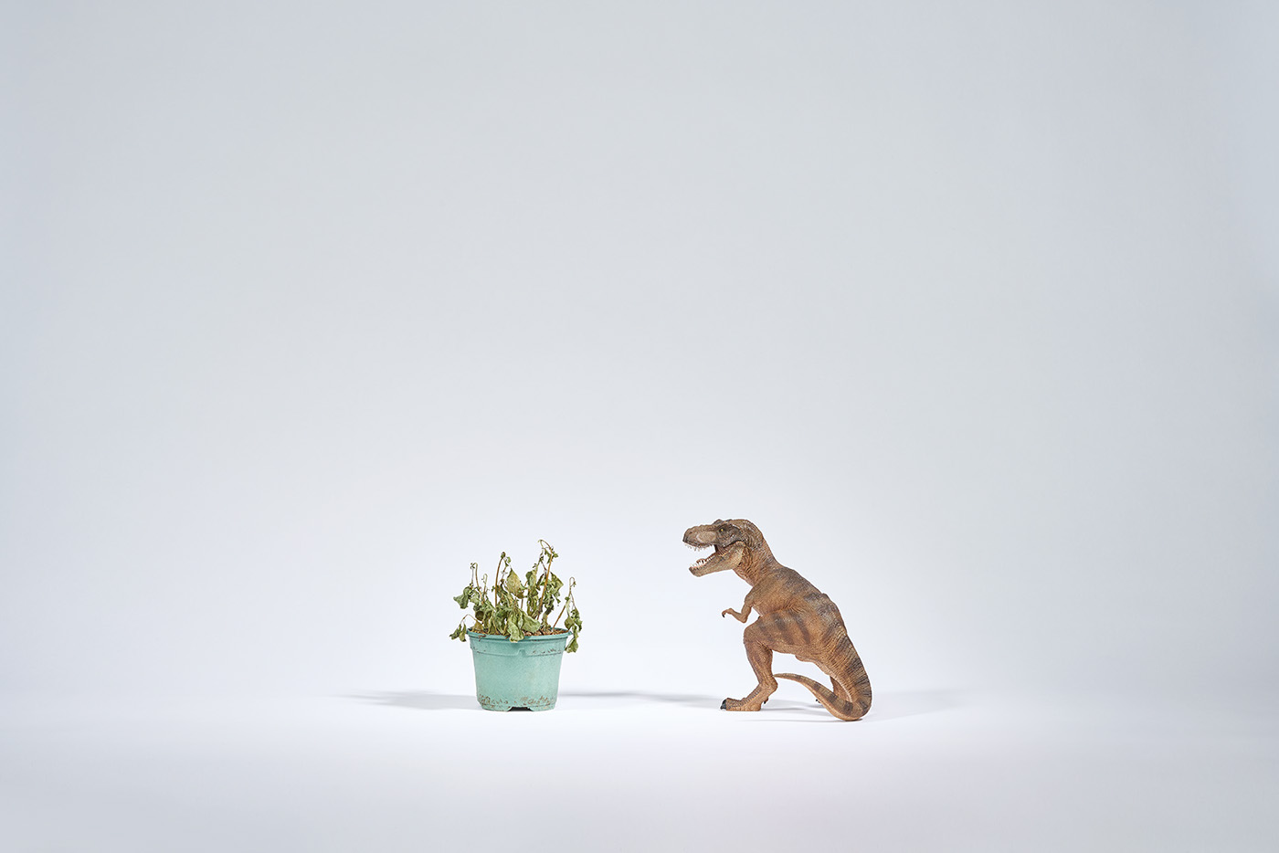 Minimalism，Photography series，Art，character，decorate，