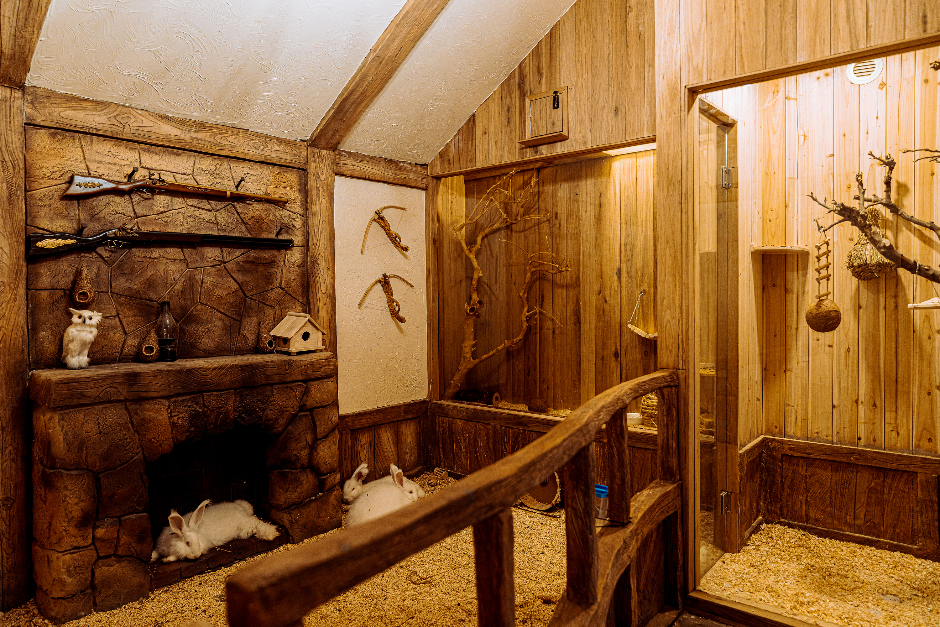 Parent child, indoor, paradise, immersion，