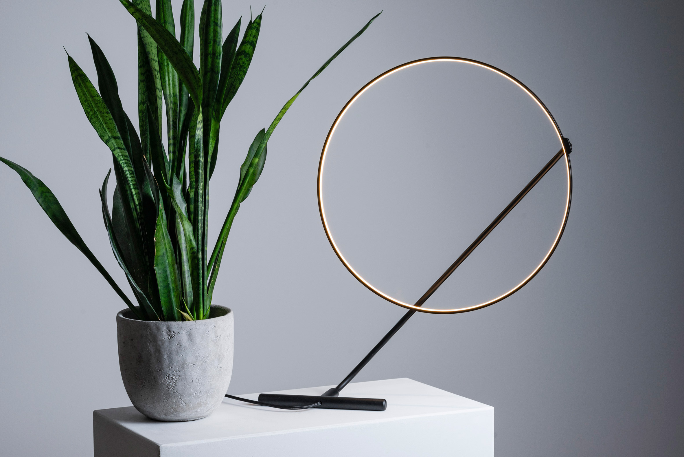 Poise，ring light，Minimalist design ，lighting，