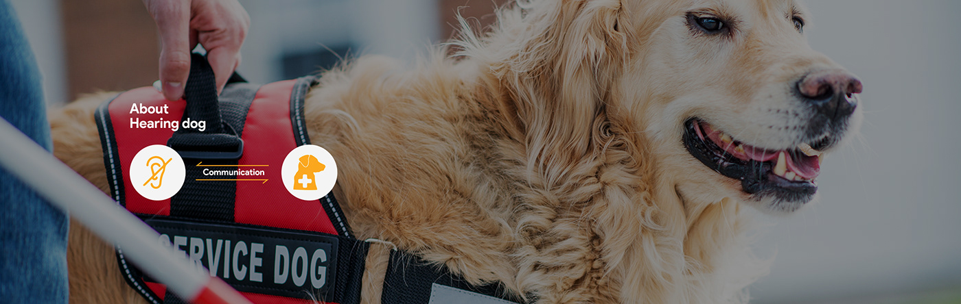 deaf-aid，robot，Emotional design，practical，