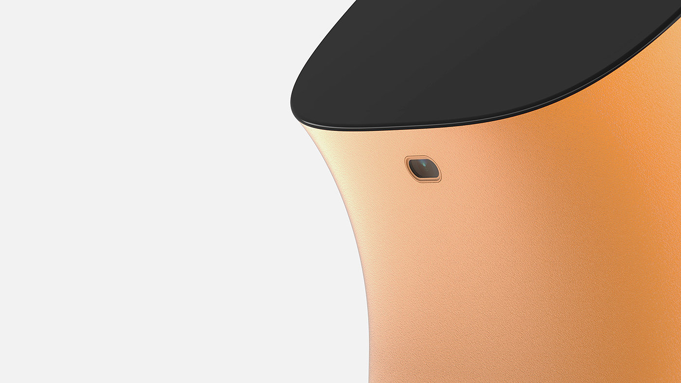 deaf-aid，robot，Emotional design，practical，