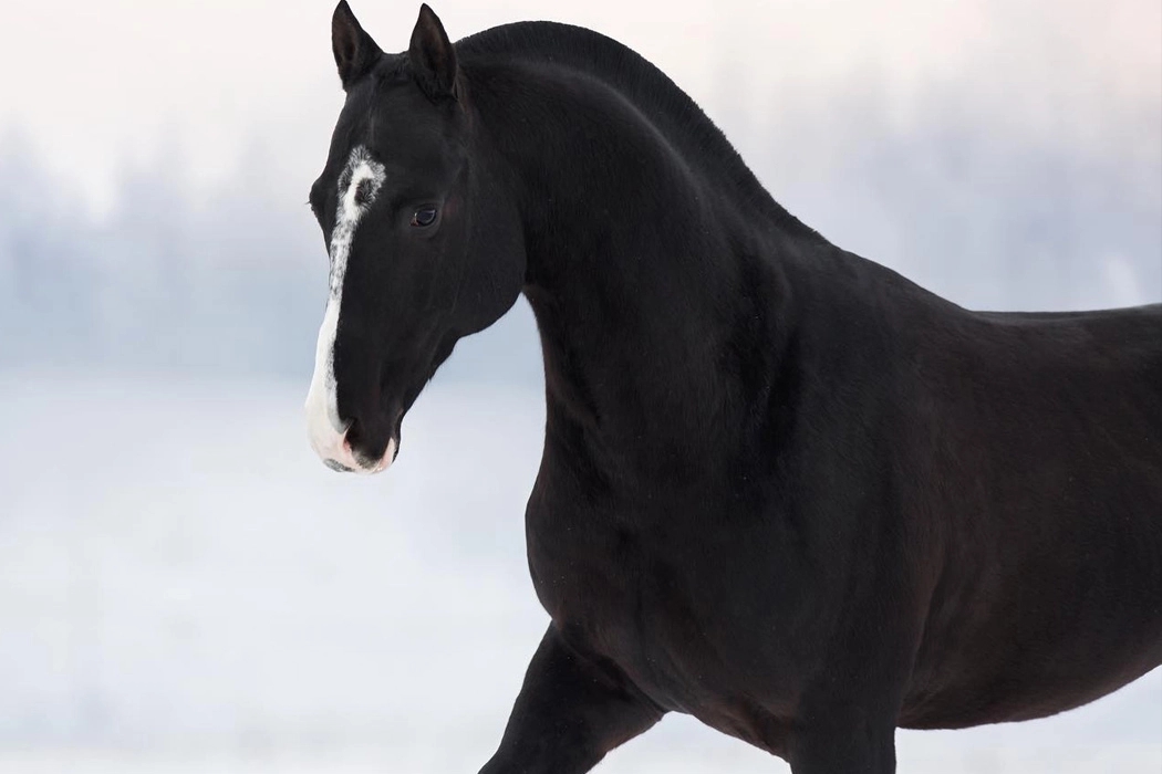 Bicycle，Ride，manual，