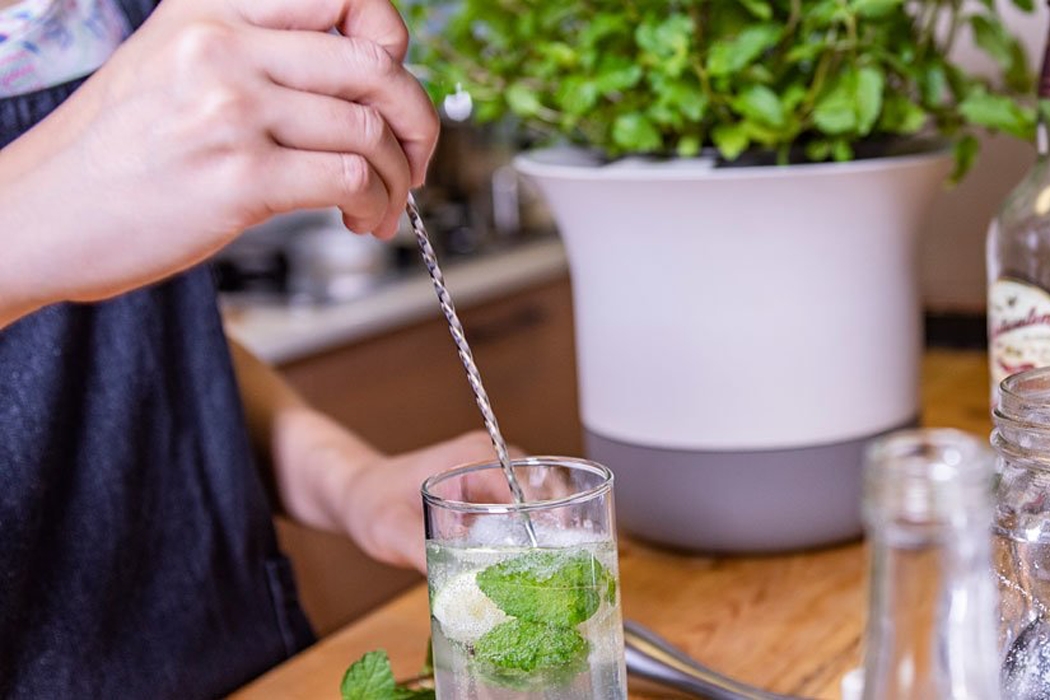 gardening，watering，intelligence，