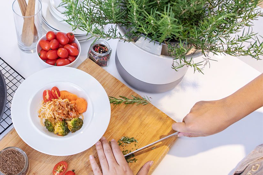 gardening，watering，intelligence，