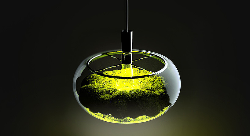 led，moss，lamp，3D printing，General image，