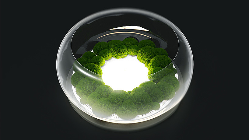 led，moss，lamp，3D printing，General image，