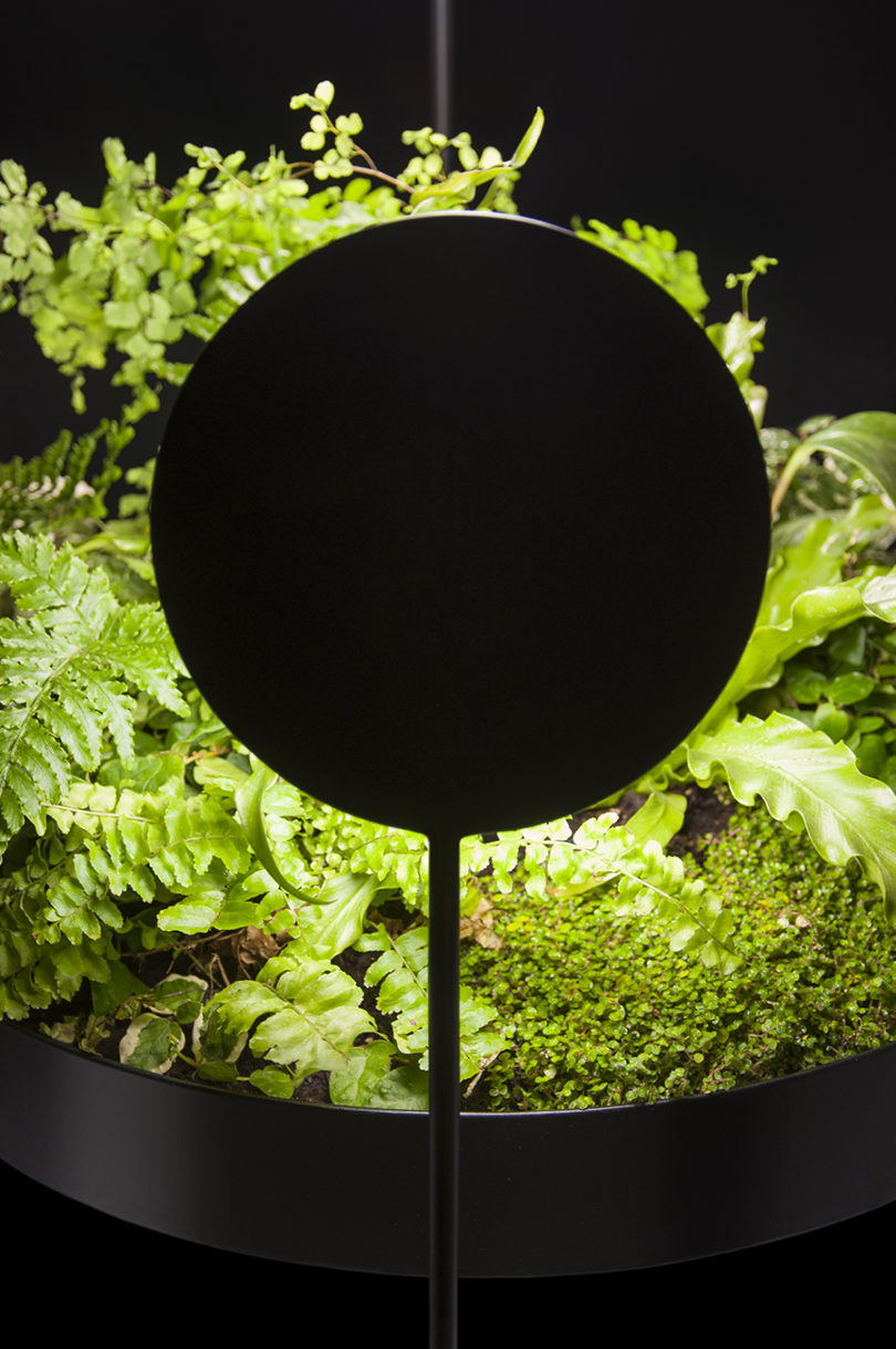 Simplicity，General image，Indoor planting，Instead of sunshine，led，