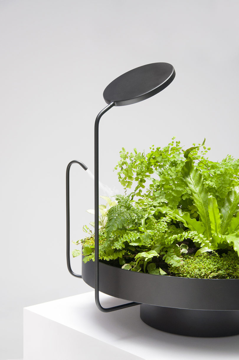 Simplicity，General image，Indoor planting，Instead of sunshine，led，