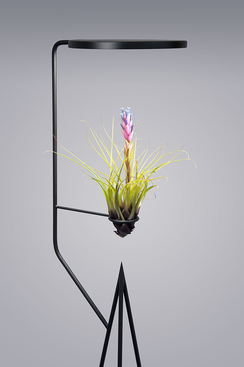 Simplicity，General image，Indoor planting，Instead of sunshine，led，