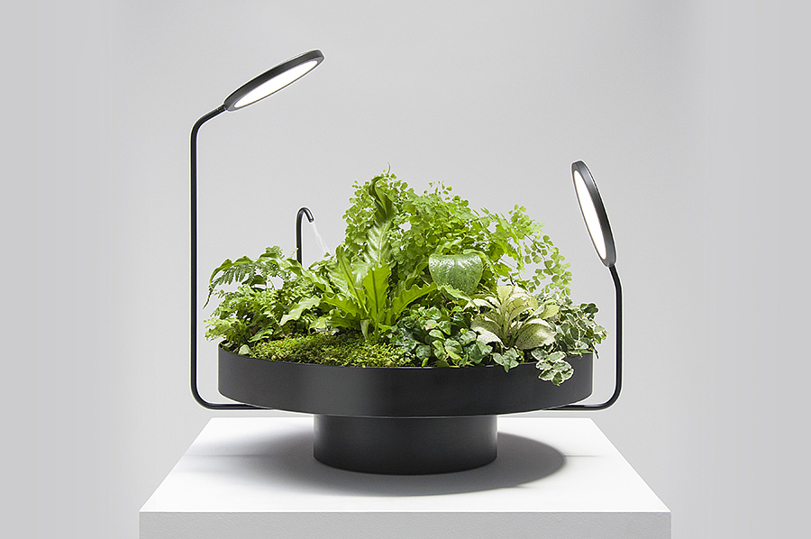 Simplicity，General image，Indoor planting，Instead of sunshine，led，