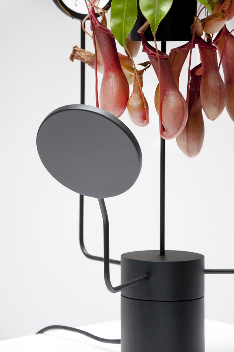 Simplicity，General image，Indoor planting，Instead of sunshine，led，