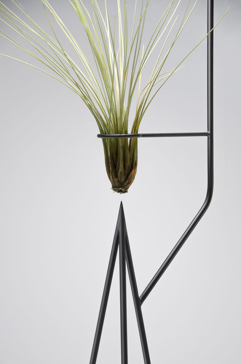 Simplicity，General image，Indoor planting，Instead of sunshine，led，