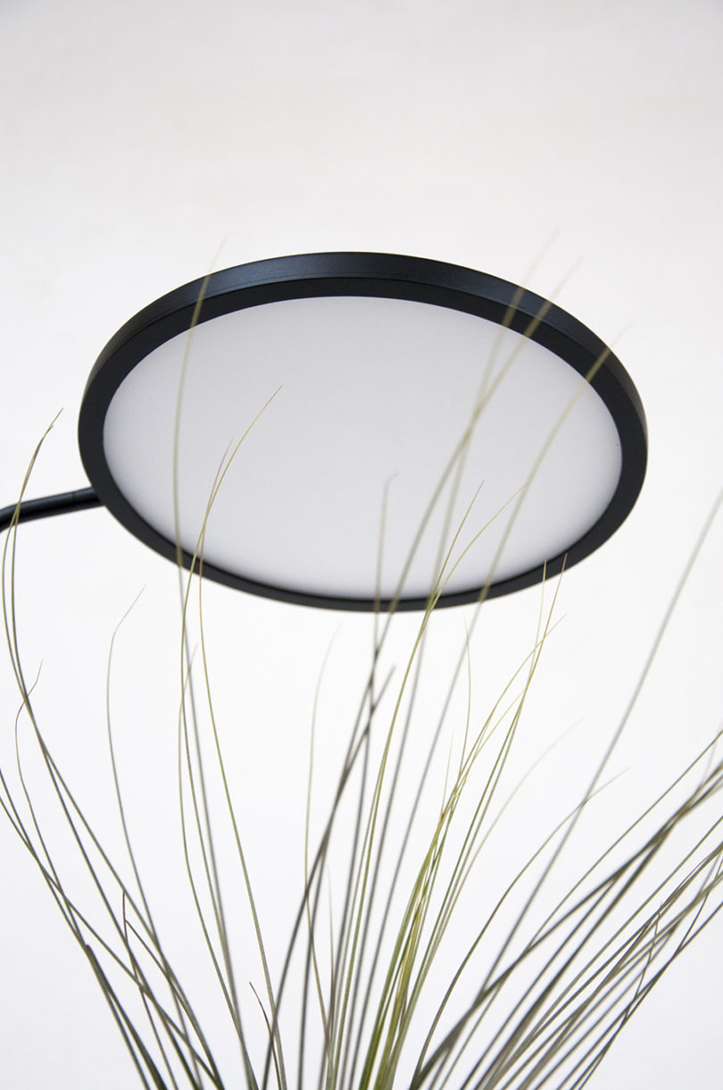 Simplicity，General image，Indoor planting，Instead of sunshine，led，