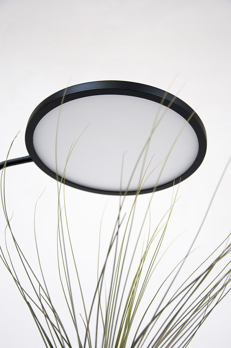 Simplicity，General image，Indoor planting，Instead of sunshine，led，