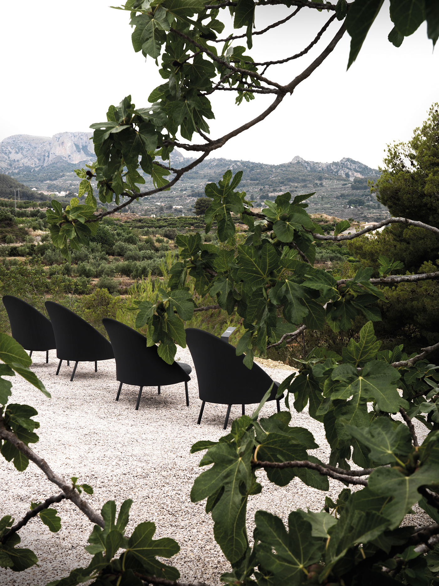 twins，Outdoor chair，chair，sofa，furniture design ，industrial design，