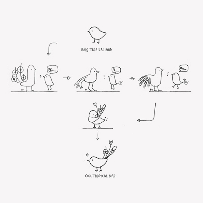 red dot，award-winning work，Adult toys，Office stationery，Tropical bird，industrial design，