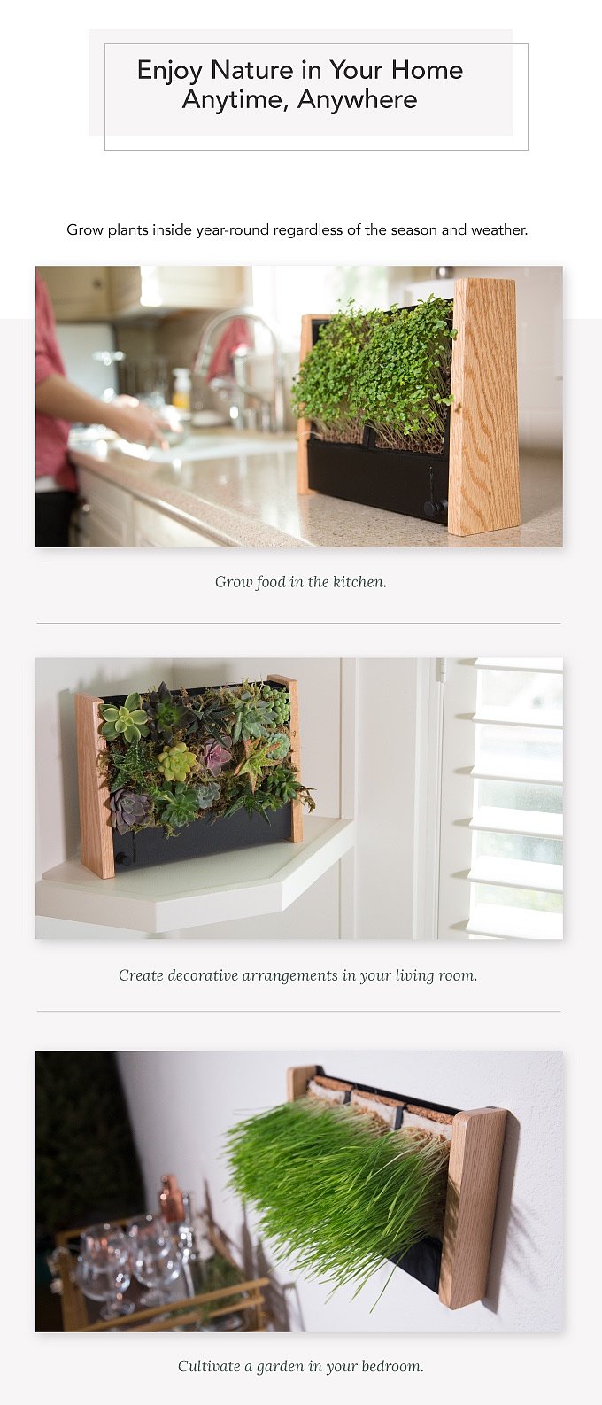 Potted plants，Botany，Home Furnishing，decorate，General image，