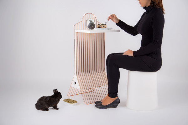 future，Home Furnishing，furniture，Alternative catering，General image，