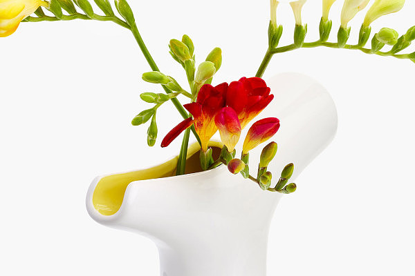 vase，kettle，multi-function，General image，energy conservation，