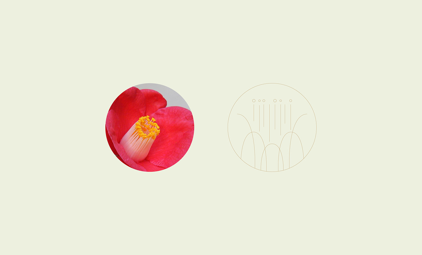 Beauty makeup，brand，Skin care，