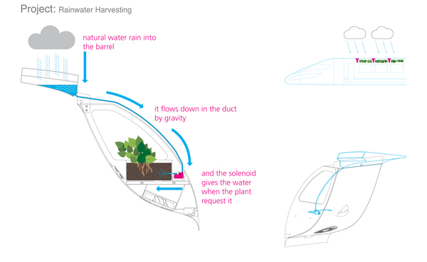 intelligence，irrigation，Botany，