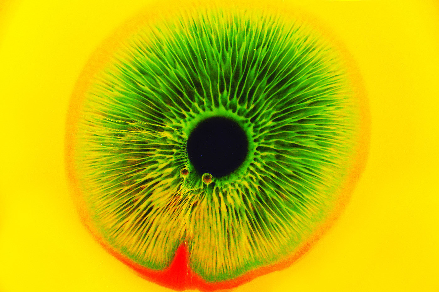 eye，Photography，Art appreciation，product design，